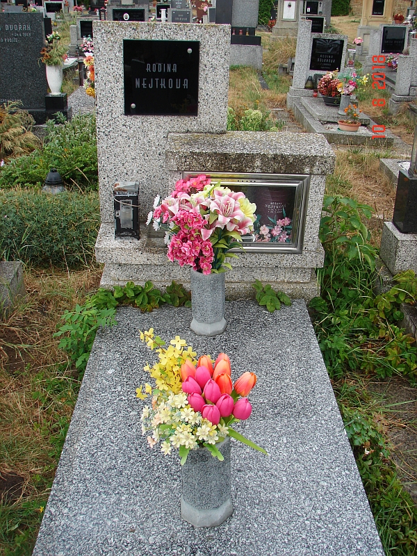 České hřbitovy