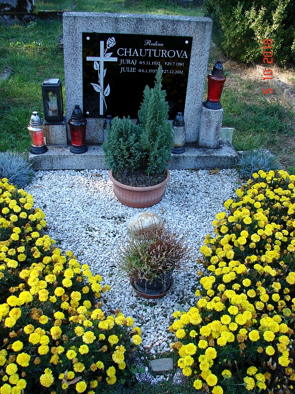 České hřbitovy