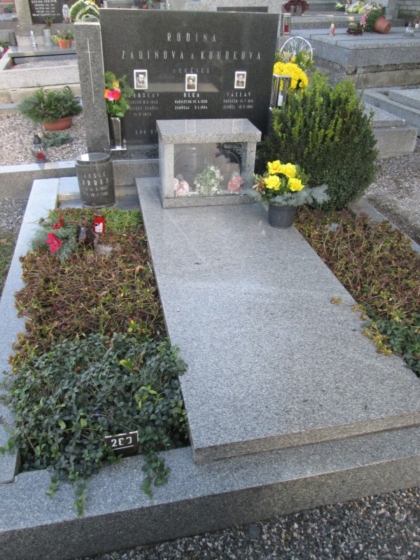České hřbitovy