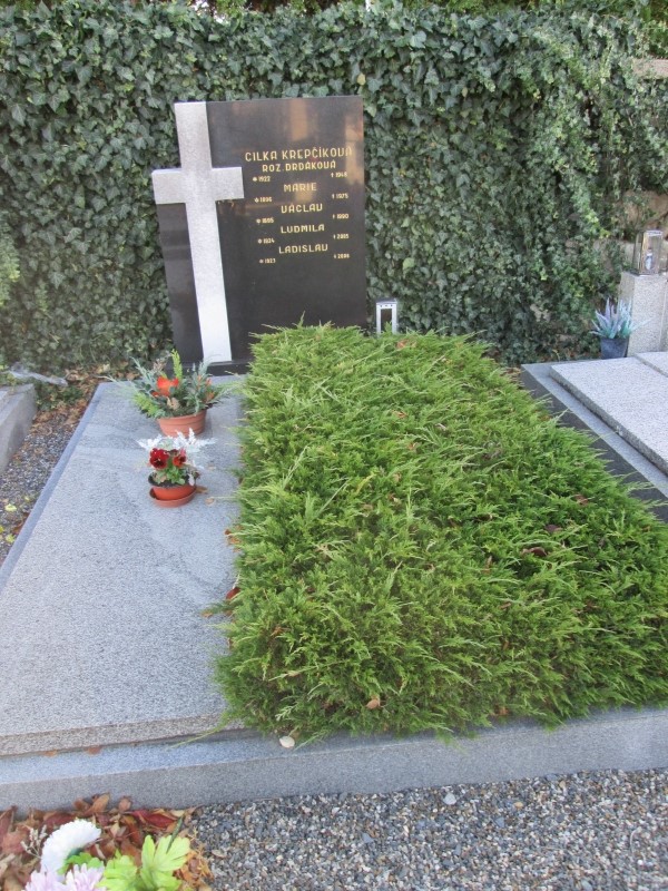 České hřbitovy