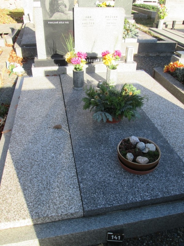 České hřbitovy