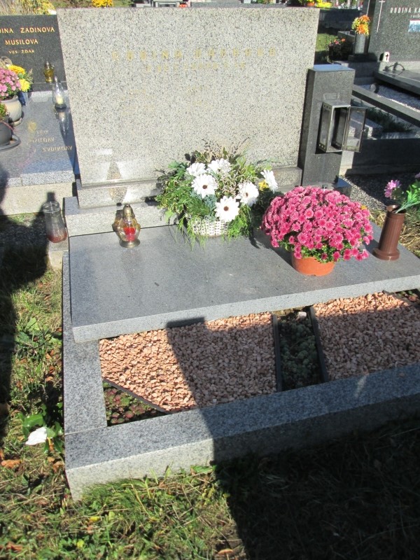 České hřbitovy