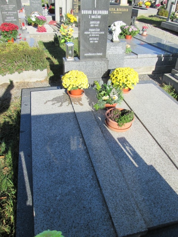 České hřbitovy