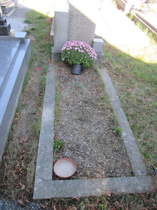 České hřbitovy