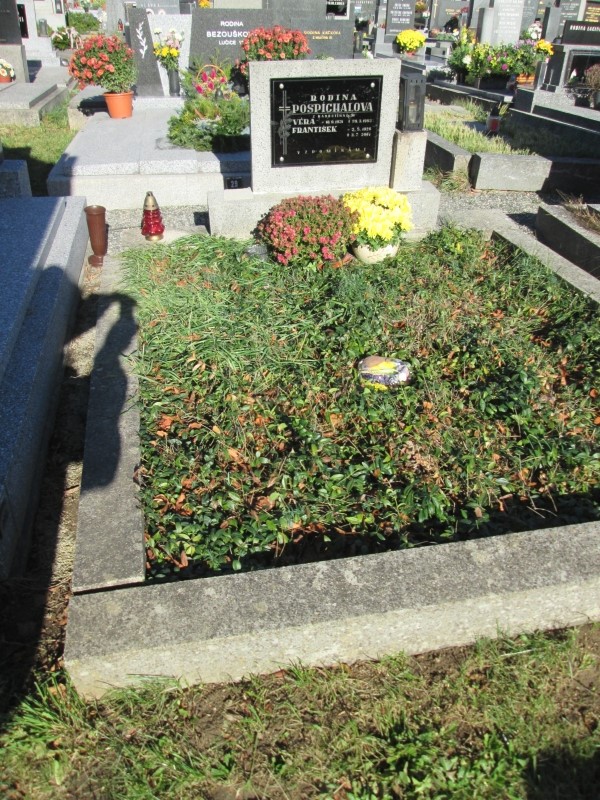 České hřbitovy