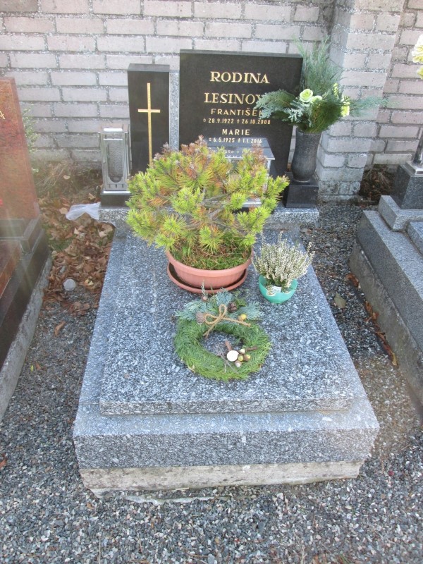 České hřbitovy