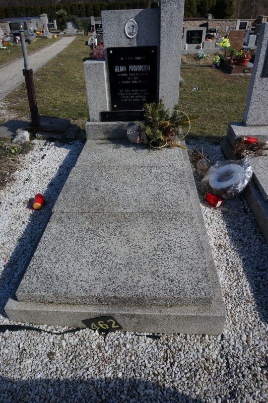 České hřbitovy