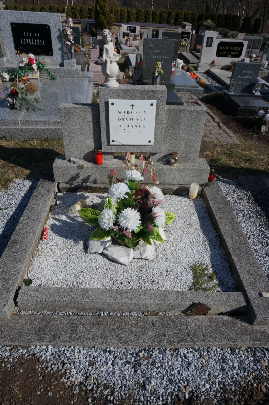 České hřbitovy