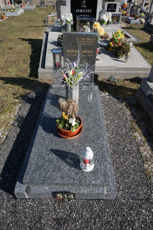 České hřbitovy