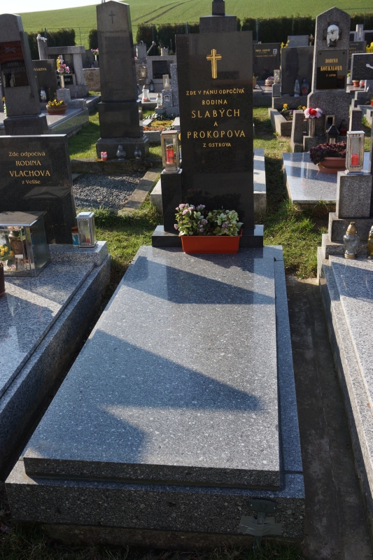 České hřbitovy