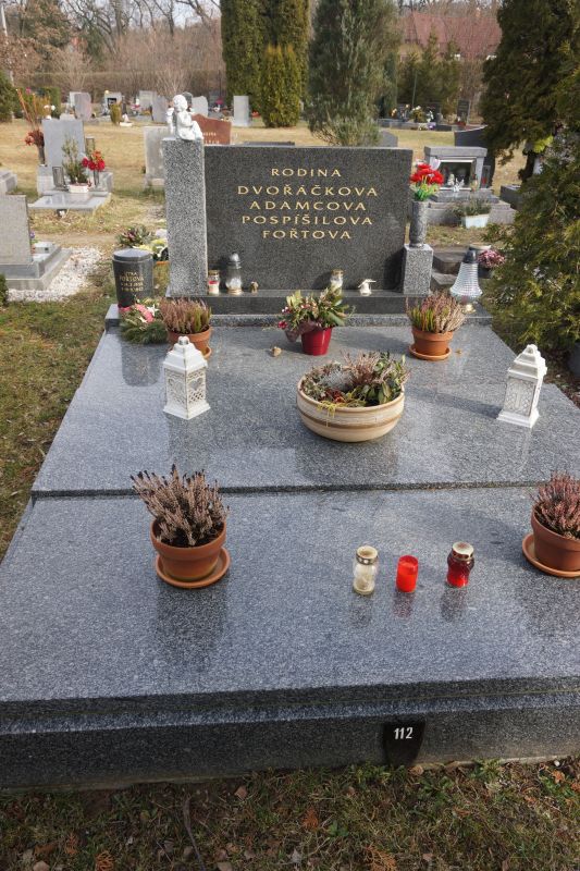 České hřbitovy