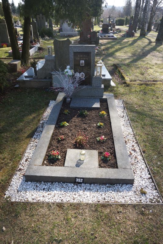 České hřbitovy