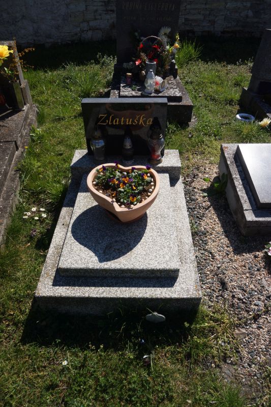České hřbitovy