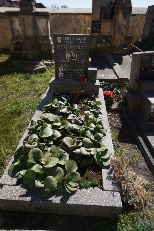 České hřbitovy