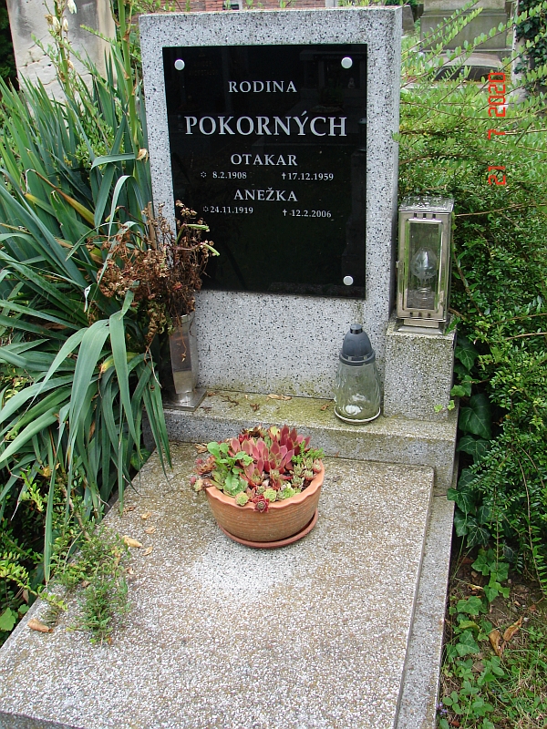 České hřbitovy