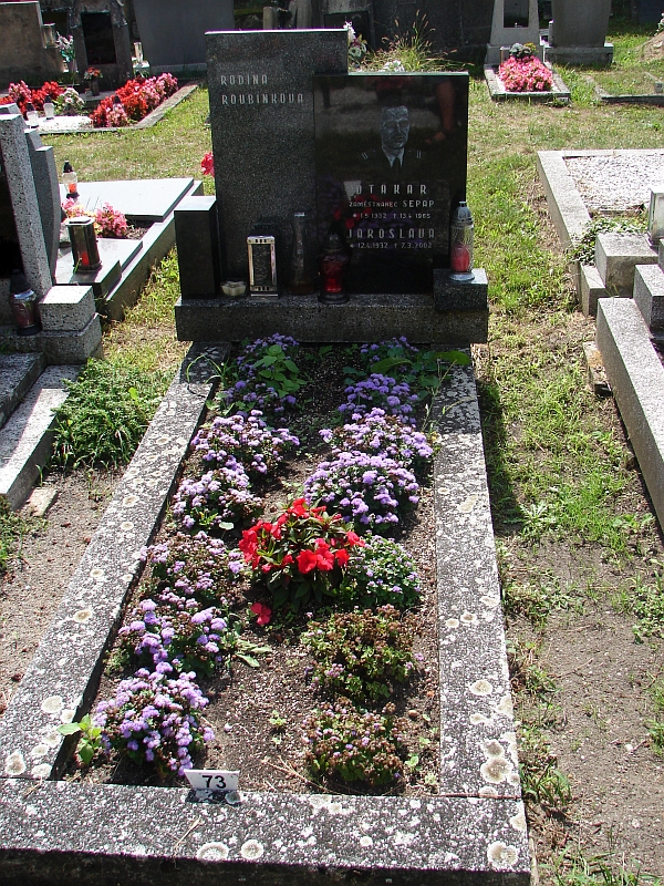 České hřbitovy