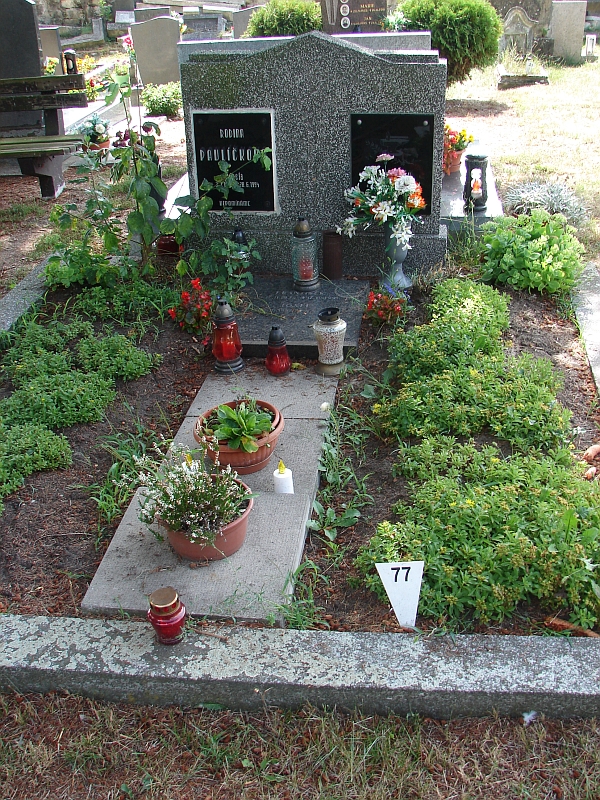České hřbitovy