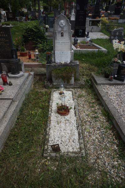 České hřbitovy