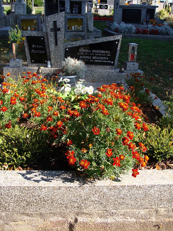 České hřbitovy