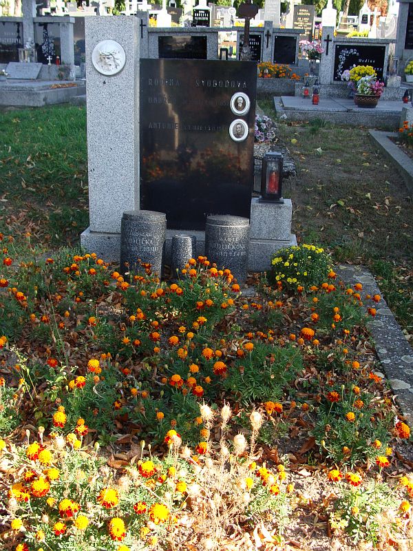 České hřbitovy