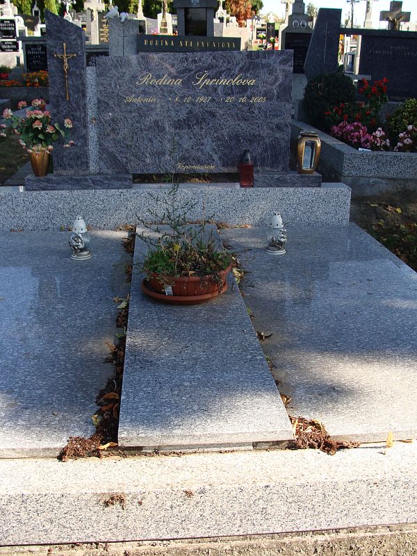 České hřbitovy