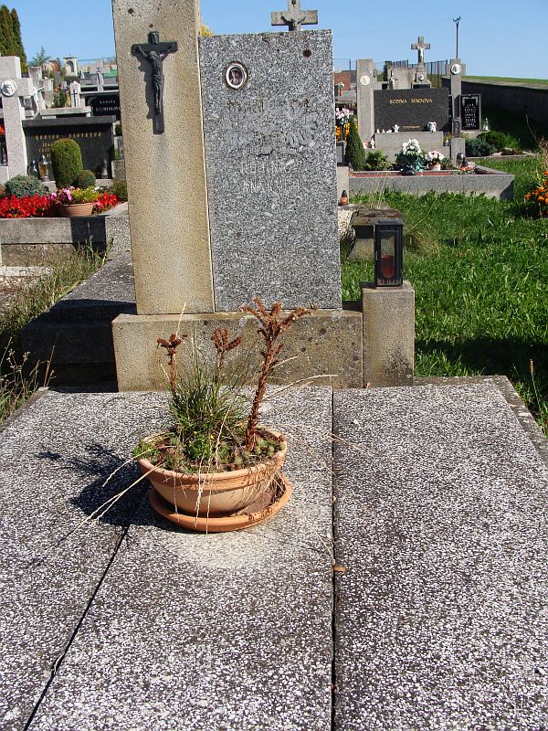 České hřbitovy