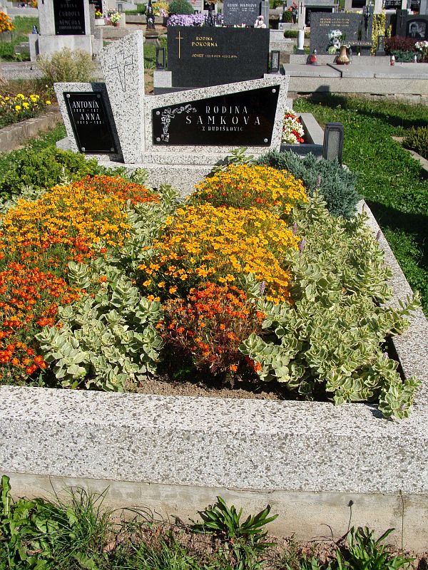 České hřbitovy