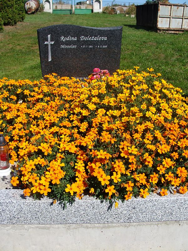 České hřbitovy