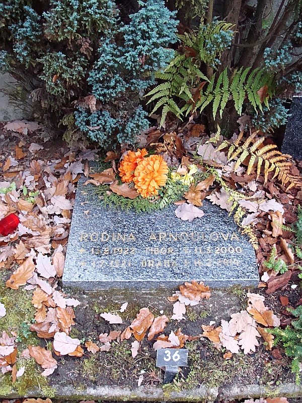 České hřbitovy