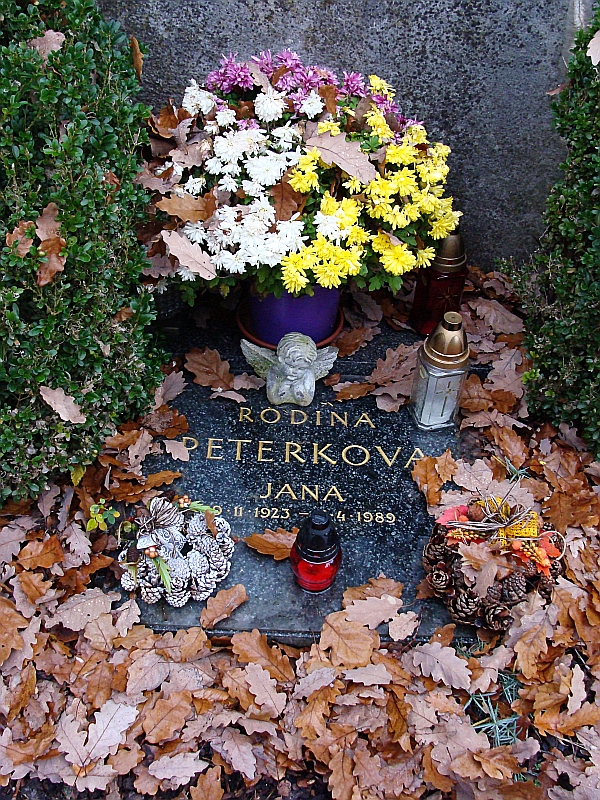 České hřbitovy