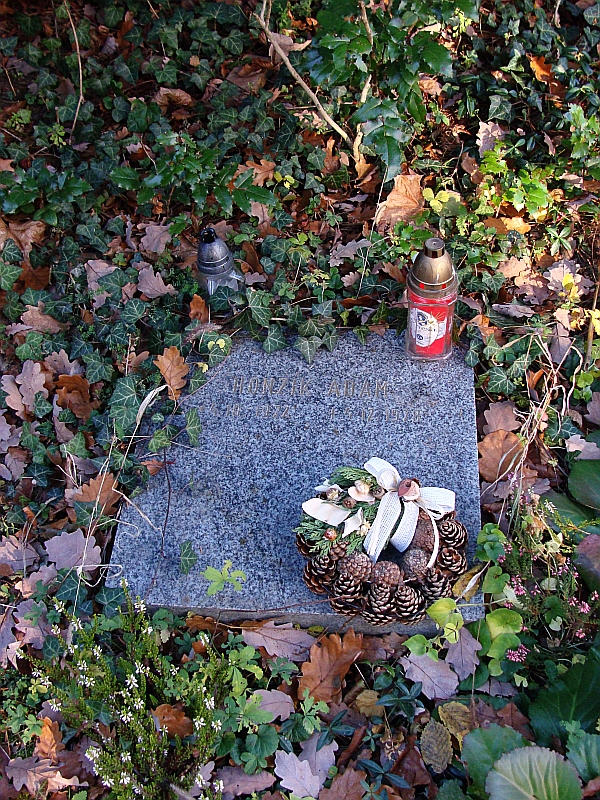 České hřbitovy