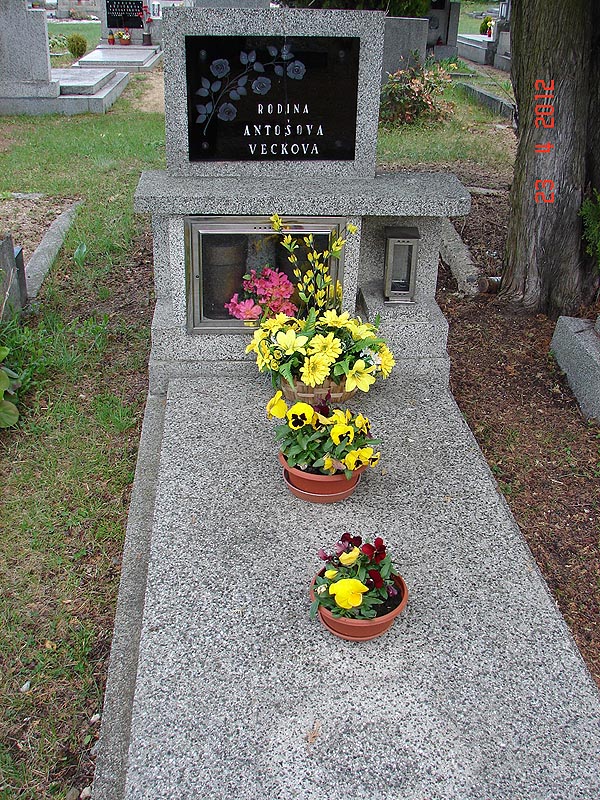 České hřbitovy