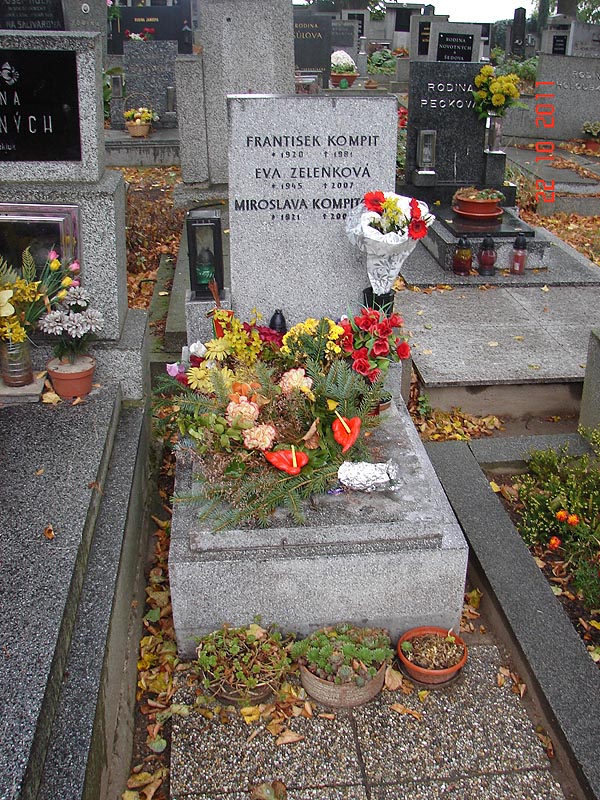 České hřbitovy