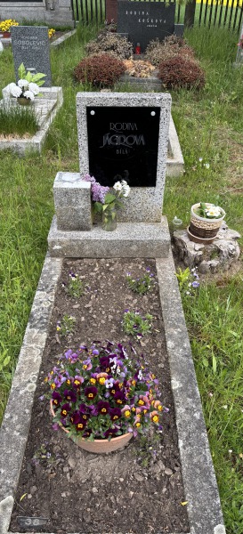 České hřbitovy