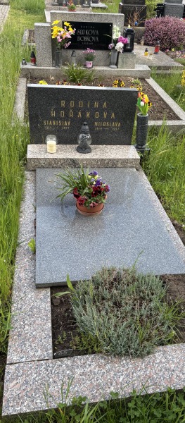 České hřbitovy