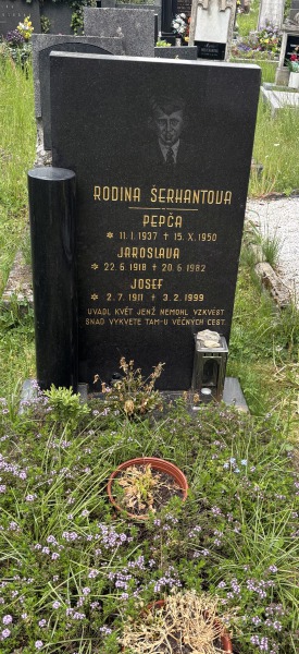 České hřbitovy