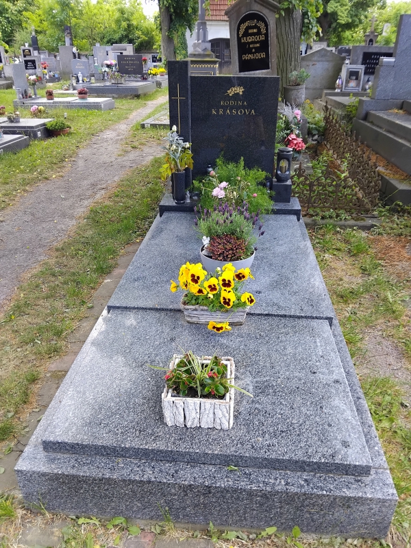 České hřbitovy