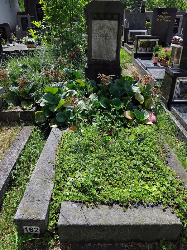 České hřbitovy