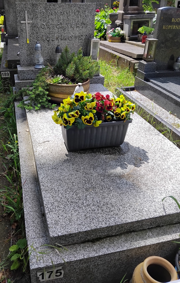 České hřbitovy