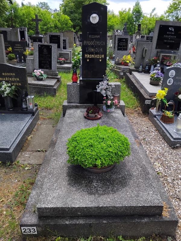 České hřbitovy