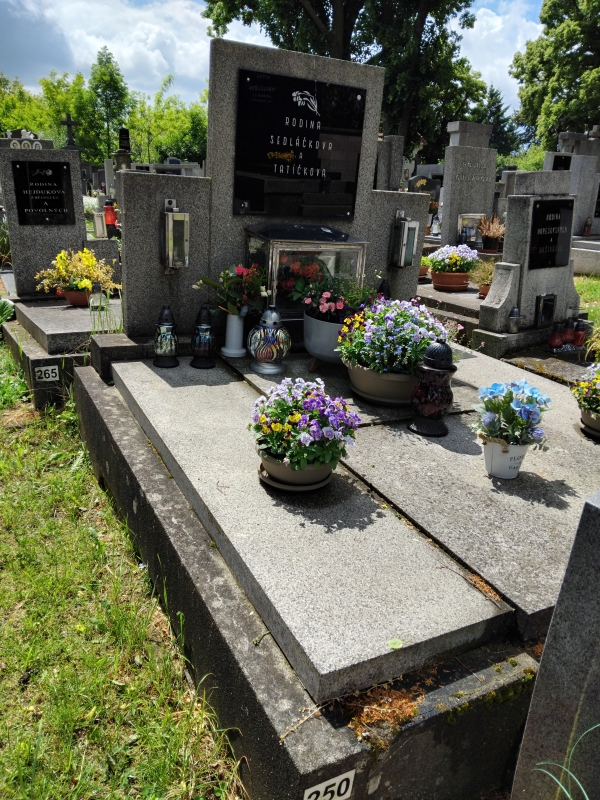 České hřbitovy