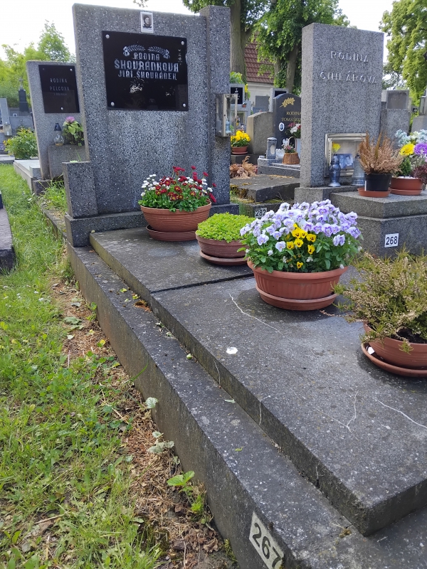 České hřbitovy