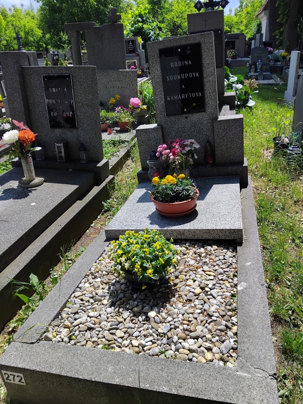 České hřbitovy