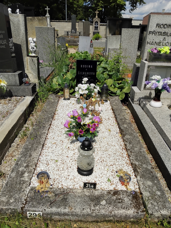 České hřbitovy