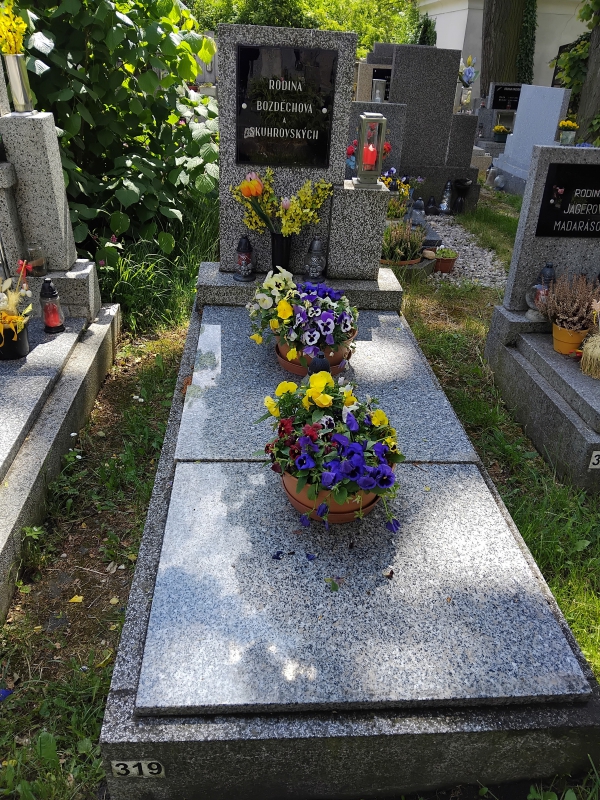 České hřbitovy