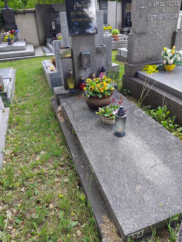 České hřbitovy
