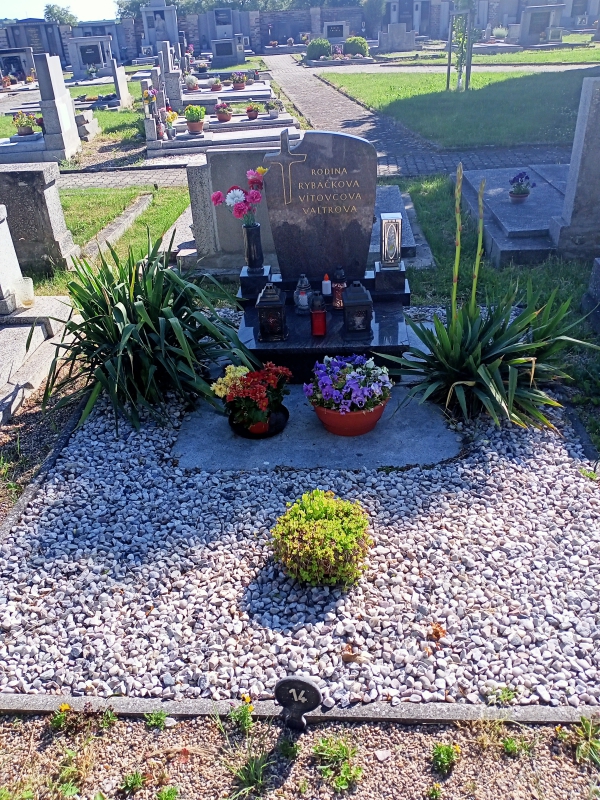 České hřbitovy