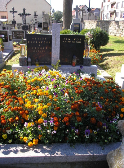 České hřbitovy