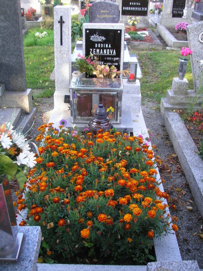 České hřbitovy
