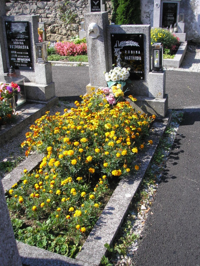 České hřbitovy